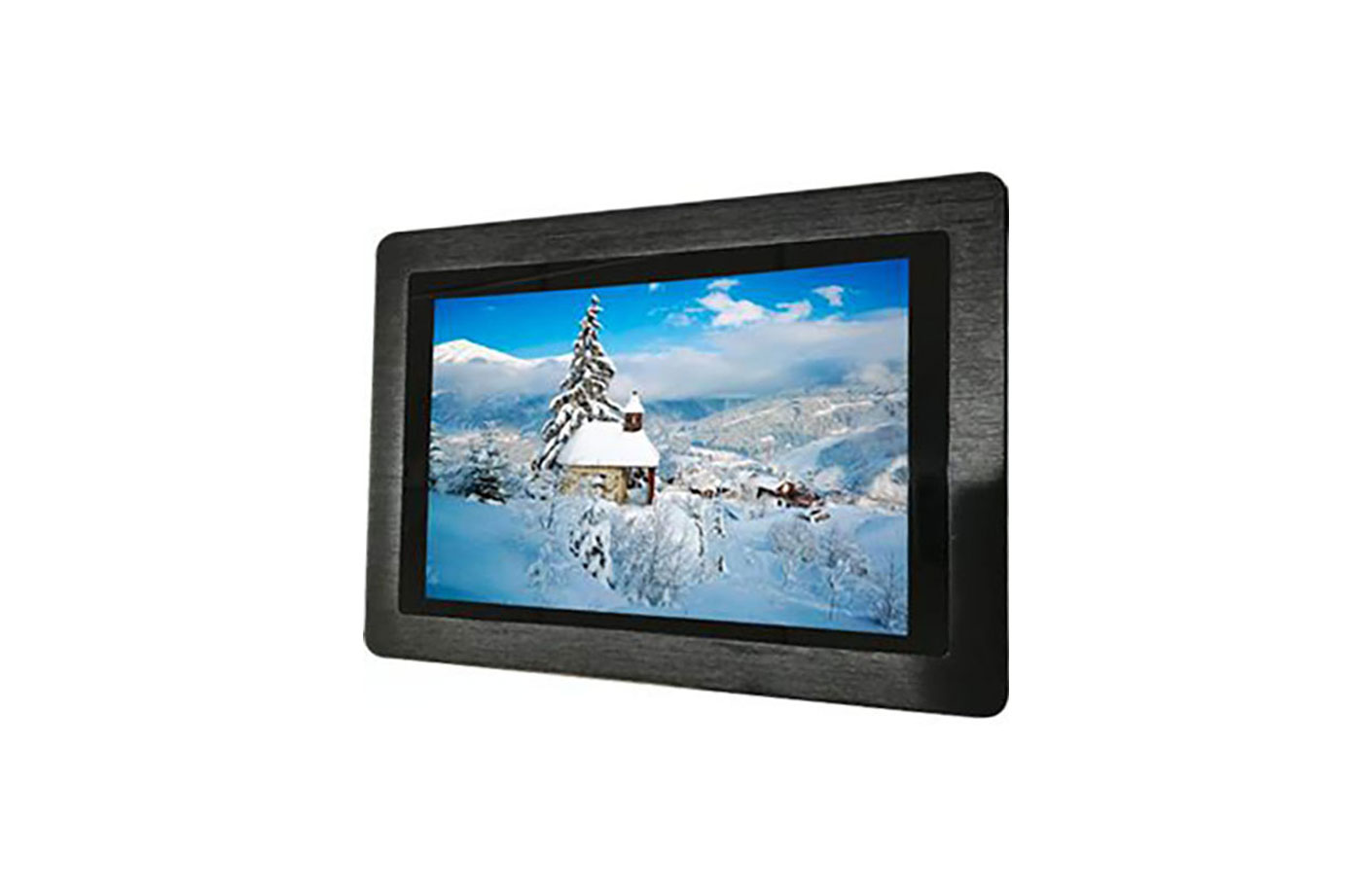 10.1 Inch IPS Industrial Touch Monitor